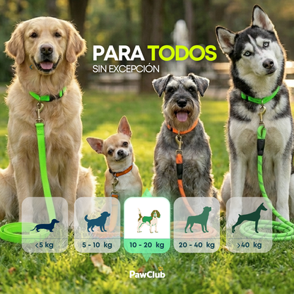PawCorrea Doble Anti-Enredos 2.0